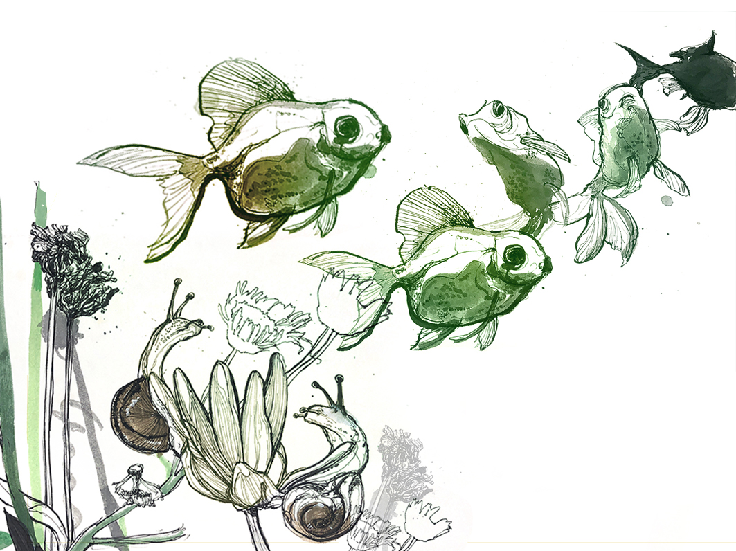 Drawing collage illust