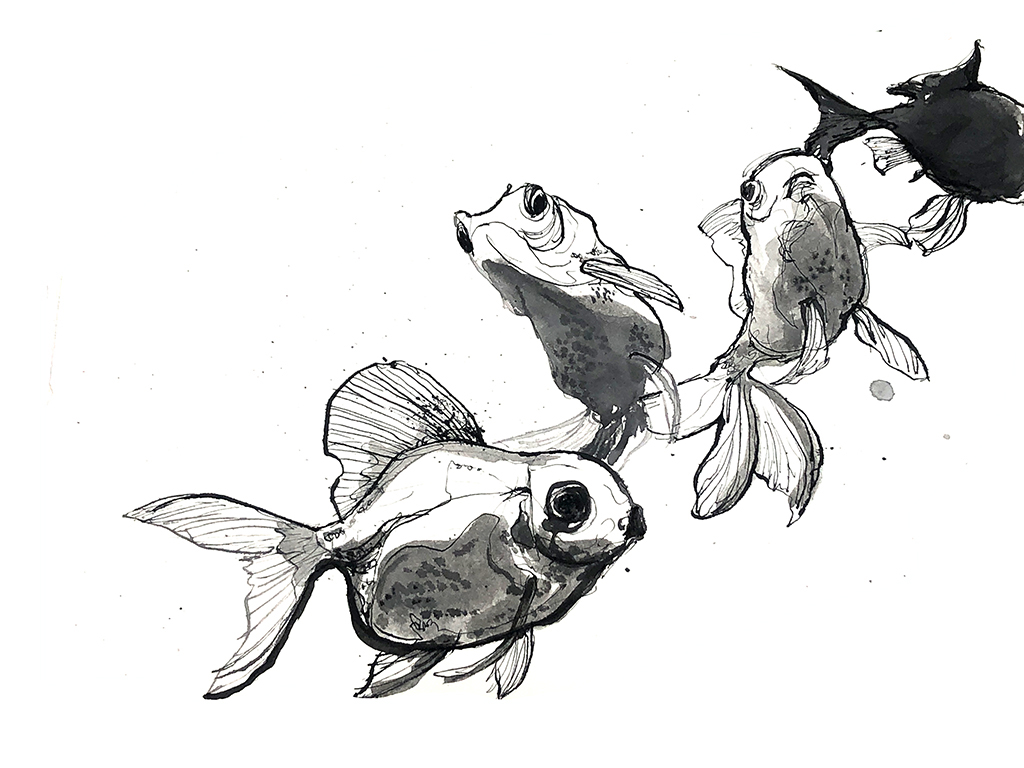 line drawing