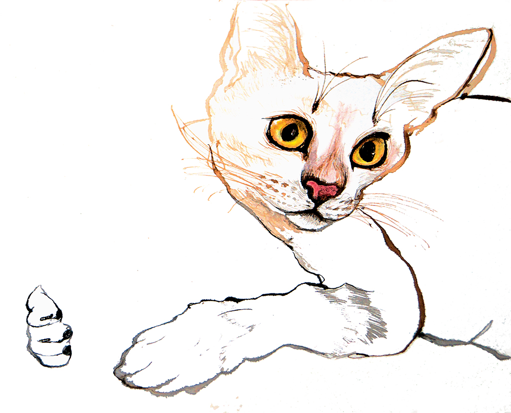 Line drawing