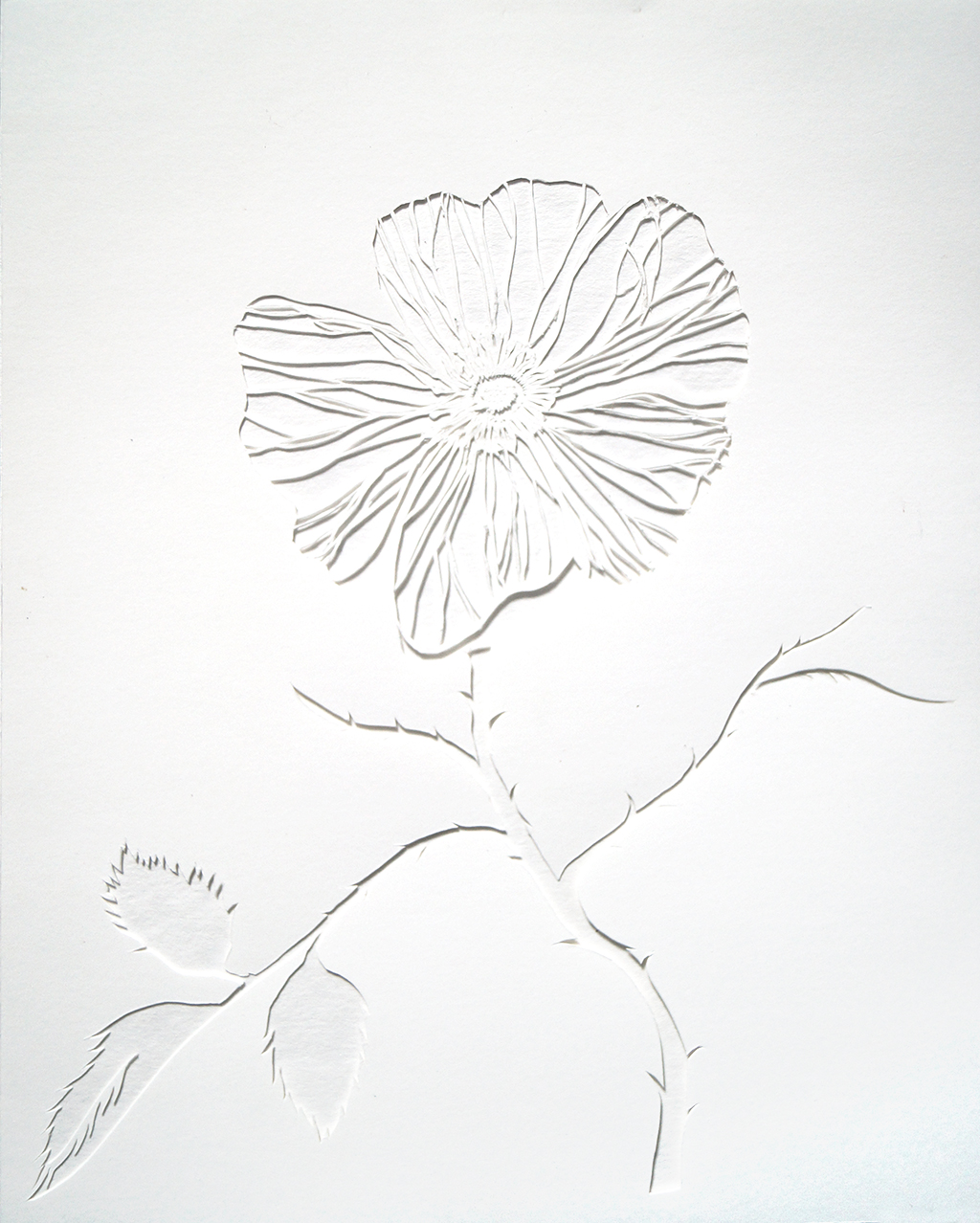 Paper cut drawing
