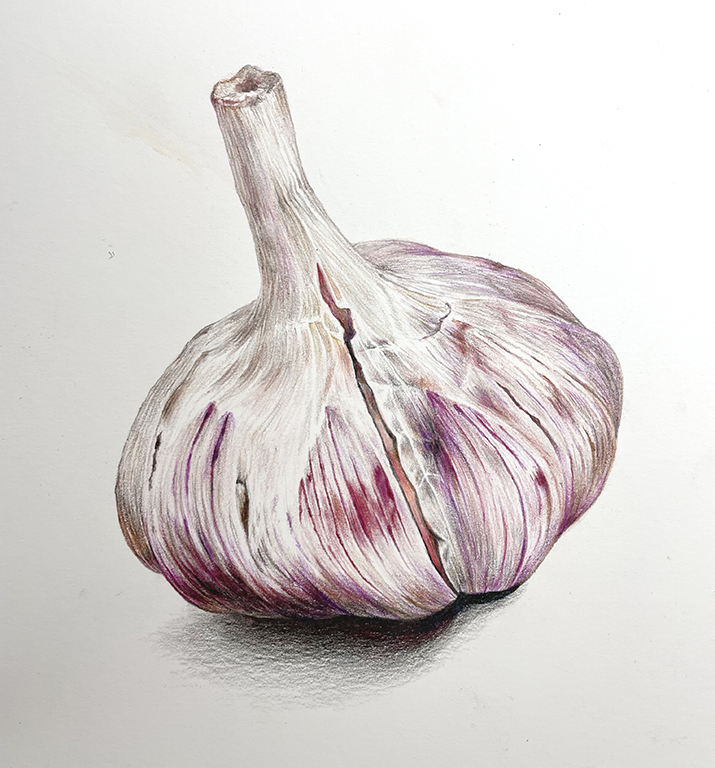 미술선생 그림 완성