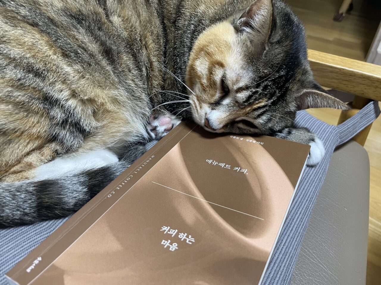 매뉴팩트 커피