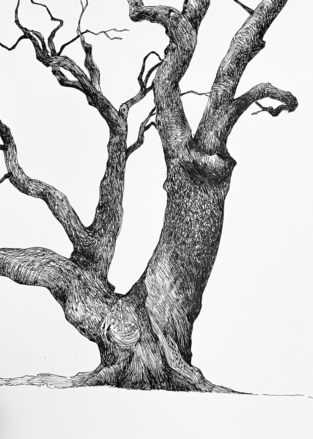 line drawing
