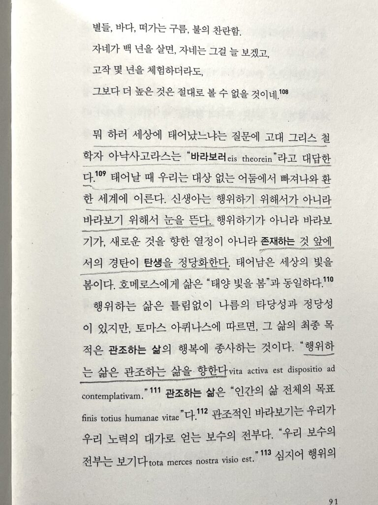 관조하는 삶