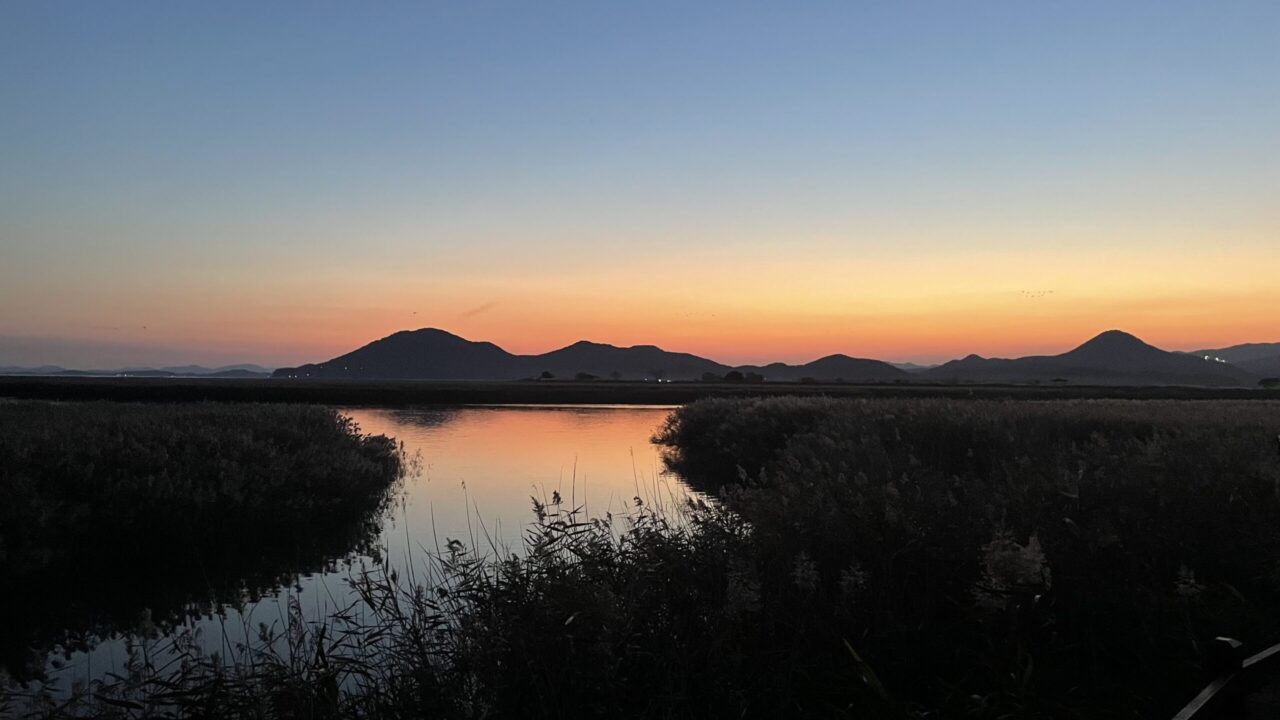 9년만에 다시, 순천만