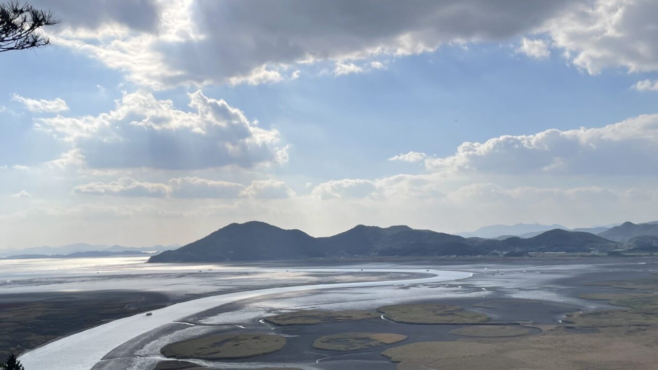 순천만 전망대 풍경