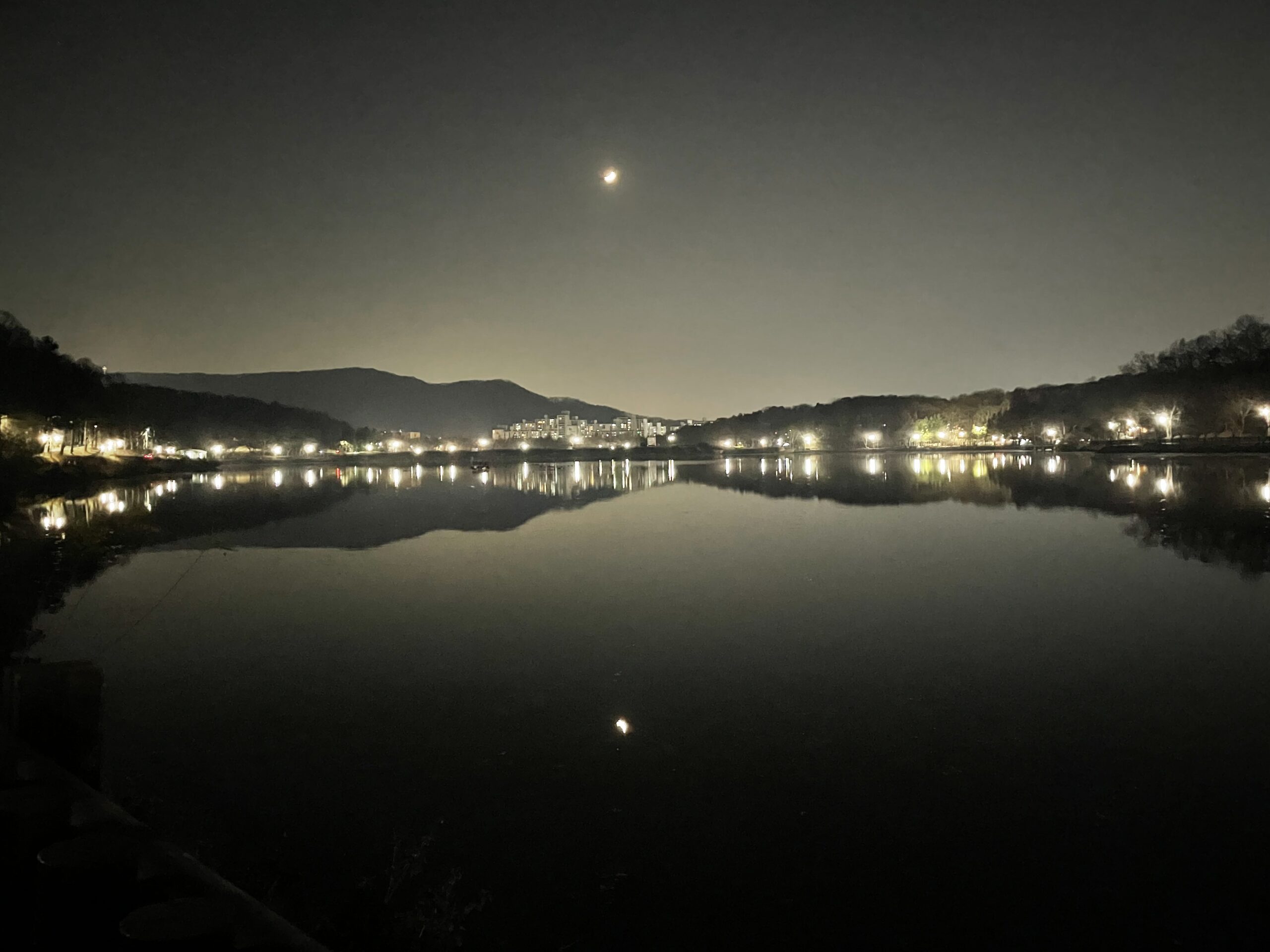 Merry Birthday, Sincerely 2025