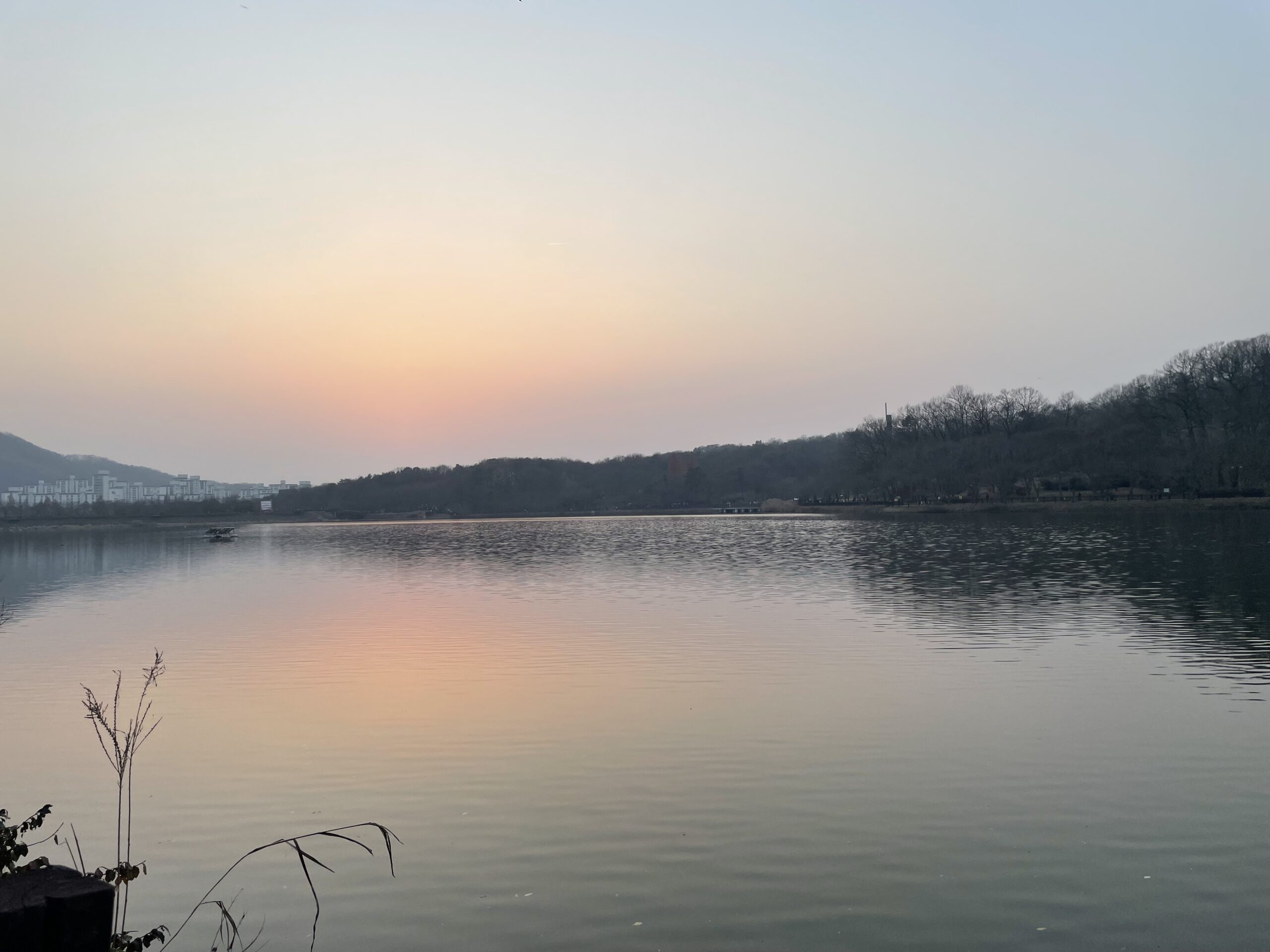 Merry Birthday, Sincerely 2025