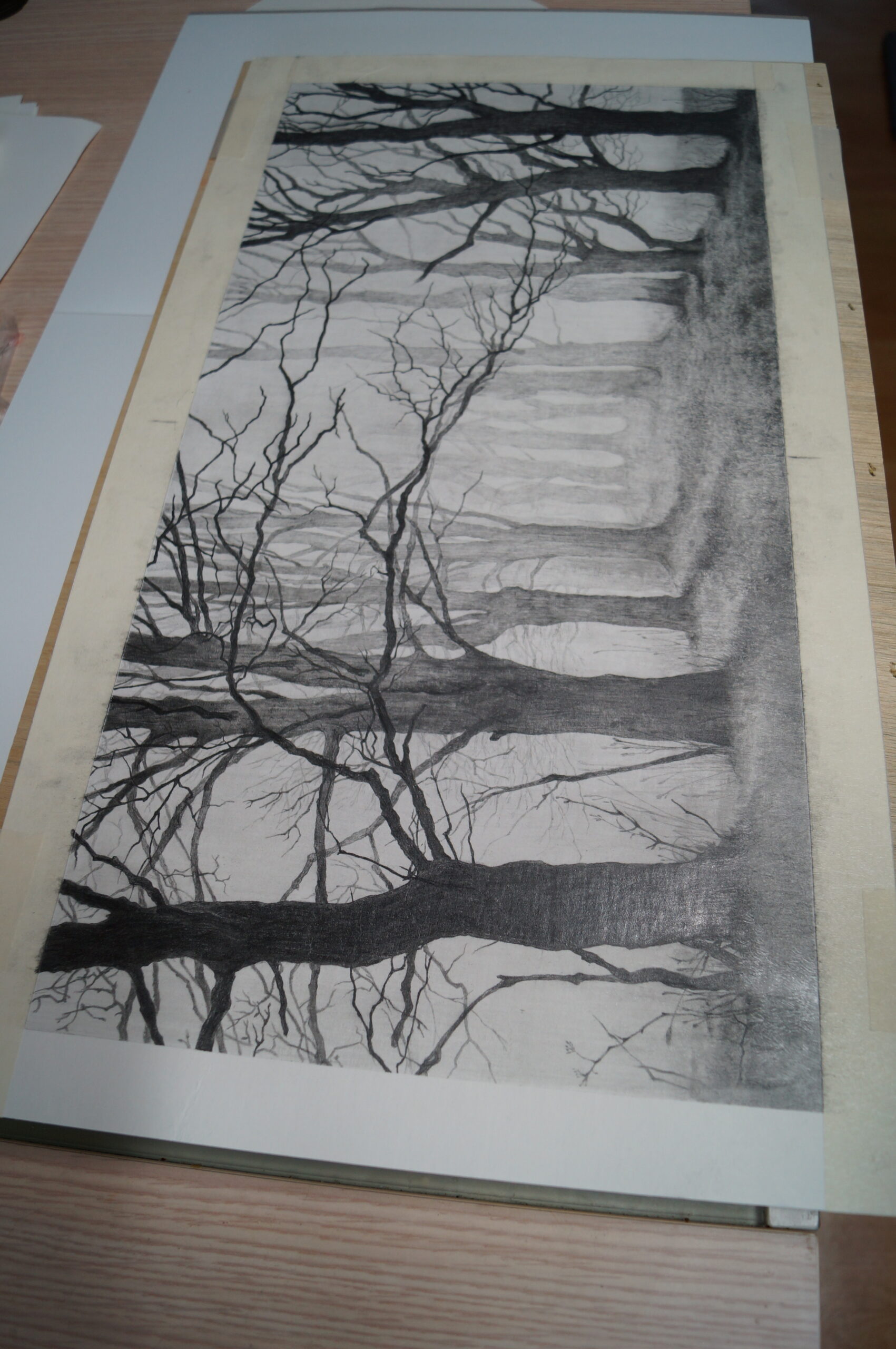 숲 안개 느린인간