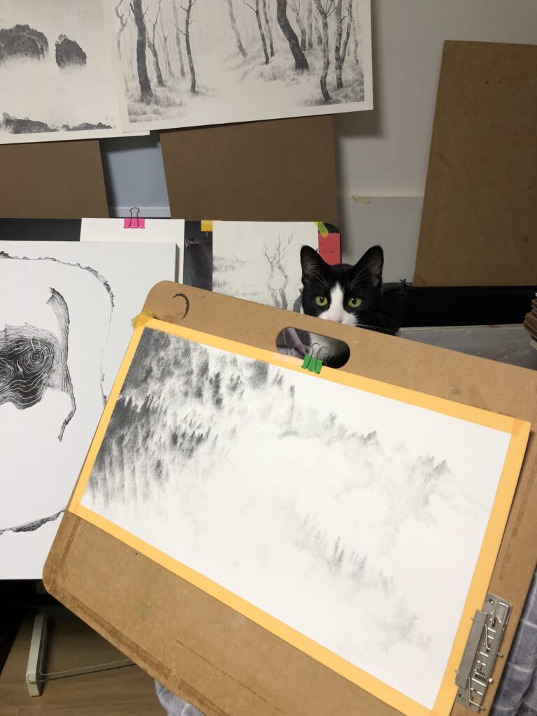 숲 안개 느린 인간