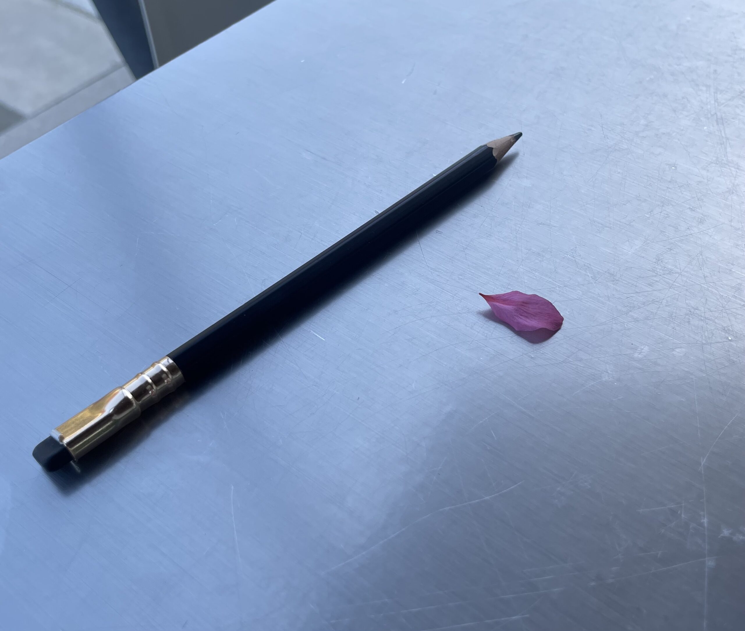 봄, 벚꽃, 수업 말고~