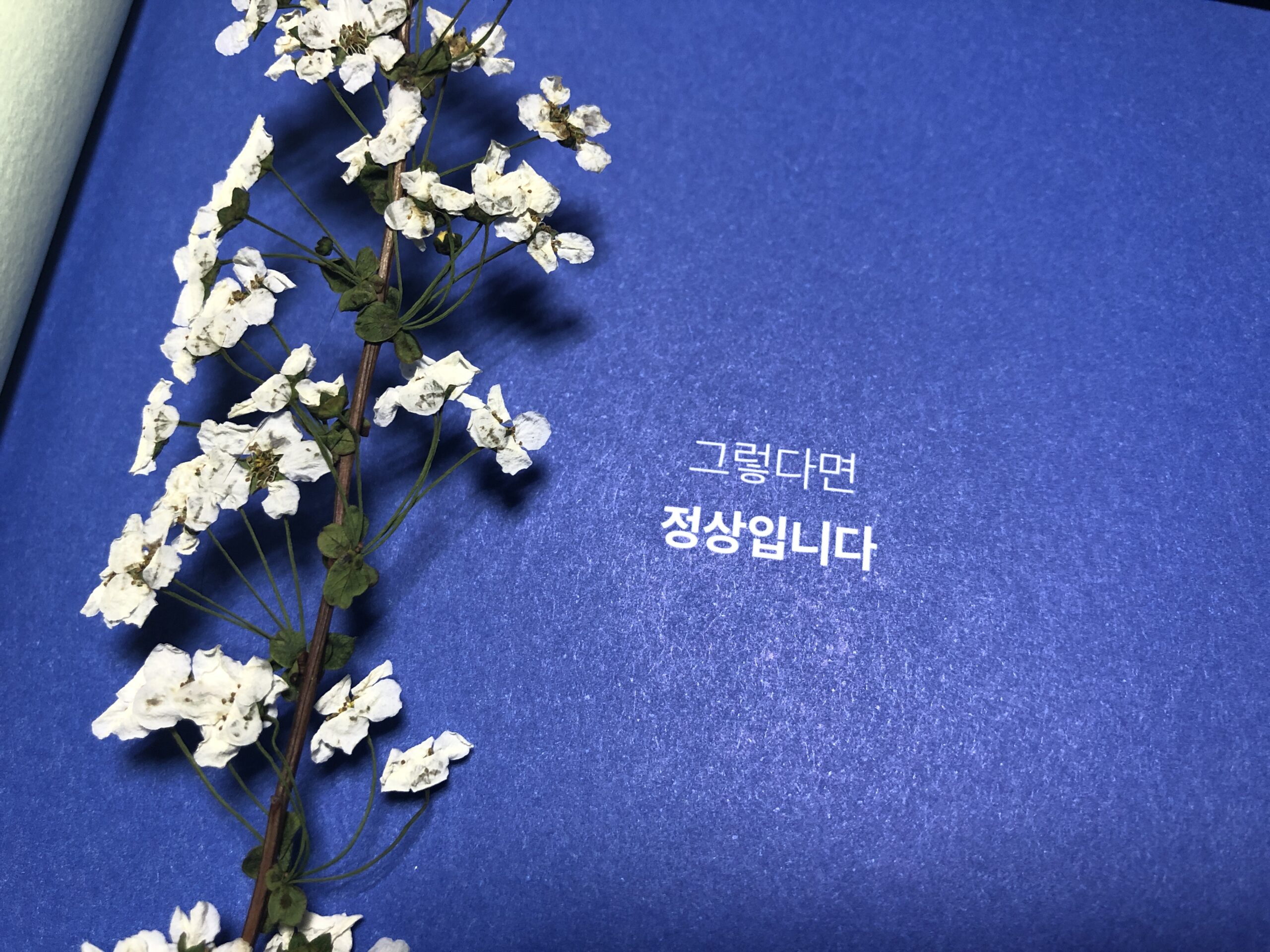 “안 슬픈데요” (달의 뒷면_2)